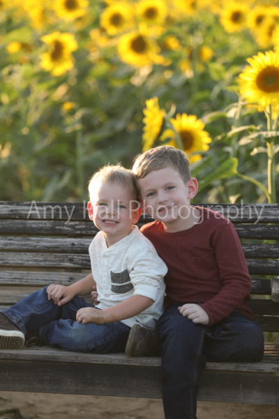 Strong | Sunflower Mini Session